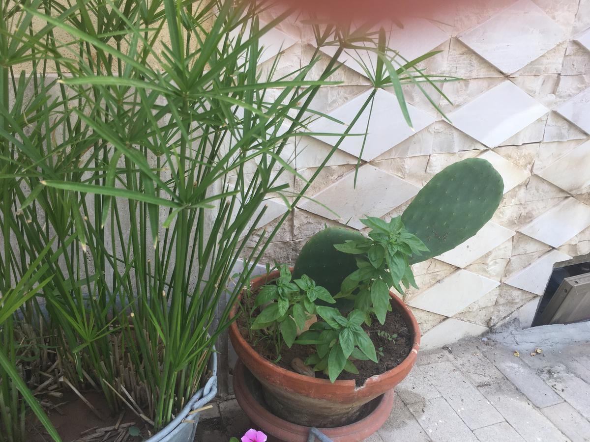 Casa Vacanze Le Rose Marina di Ragusa Extérieur photo